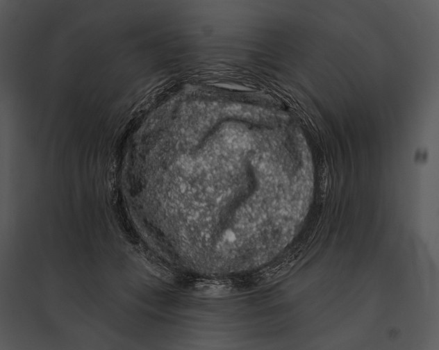 X0000095510559200801041203