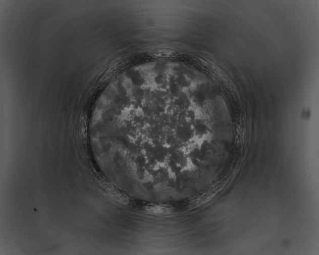 X0000095510561200801041203
