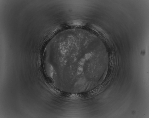 X0000095510562200801041203
