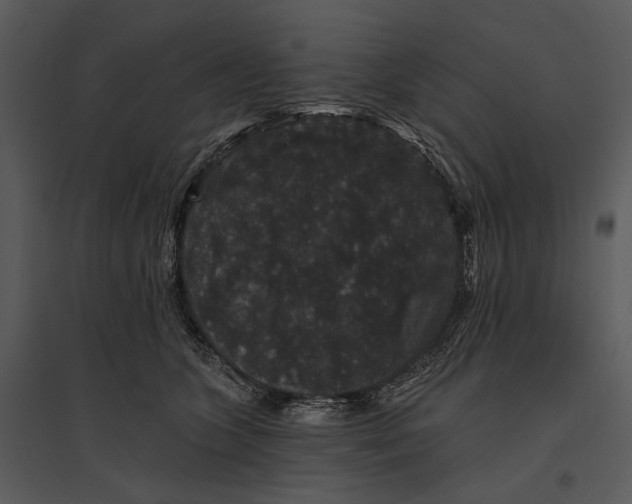 X0000095510563200801041203