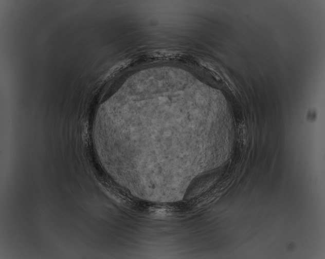 X0000095510564200801041203