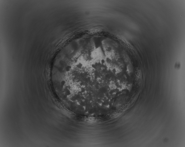 X0000095510565200801041203