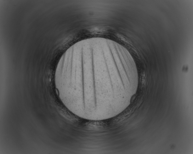 X0000095510567200801041203
