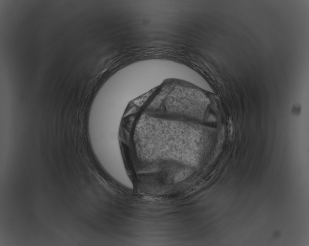 X0000095510568200801041203