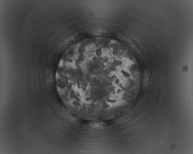 X0000095510569200801041203