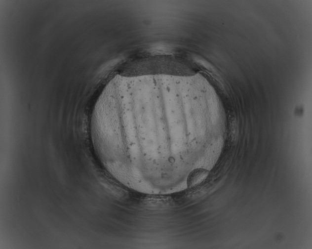 X0000095510571200801041203