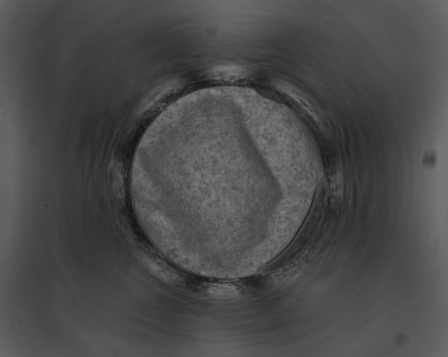 X0000095510572200801041203