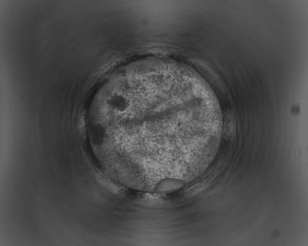 X0000095510573200801041203