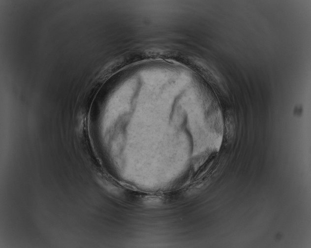 X0000095510574200801041203