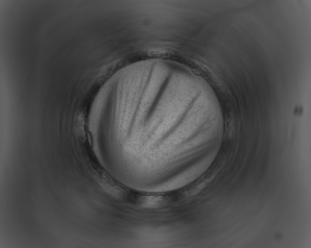 X0000095510575200801041203