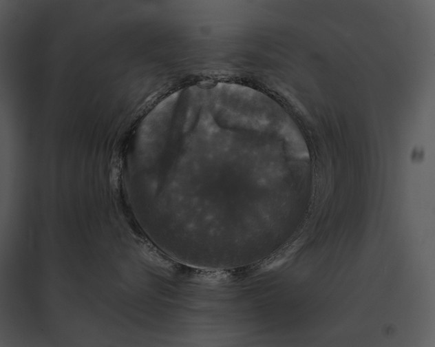 X0000095510576200801041203