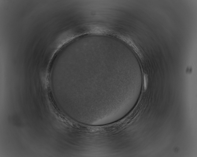 X0000095510579200801041202