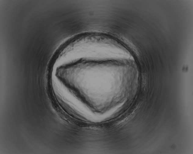 X0000095510580200801041202
