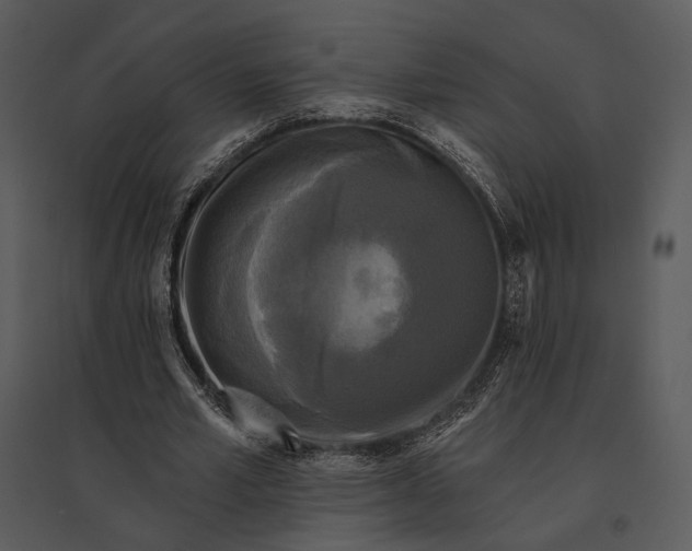 X0000095510581200801041202