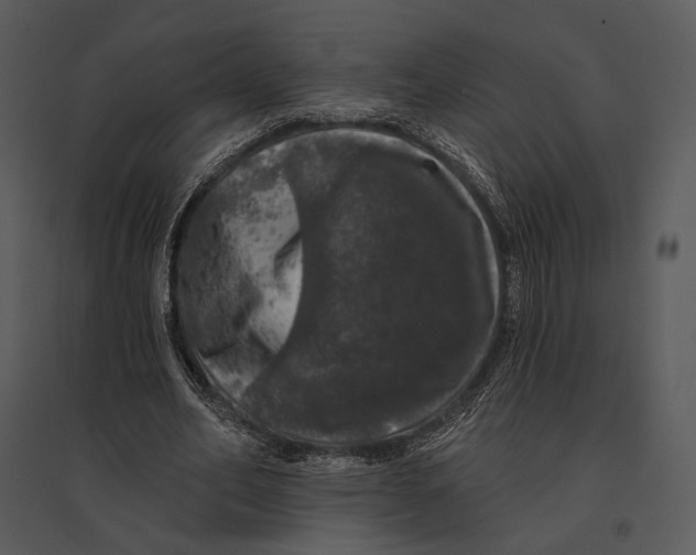 X0000095510582200801041202