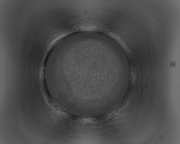 X0000095510583200801041202