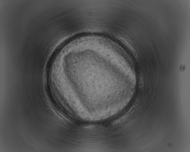 X0000095510584200801041202