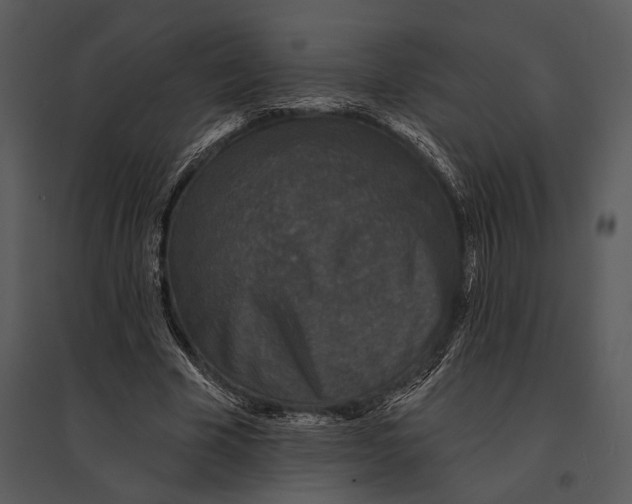 X0000095510585200801041202