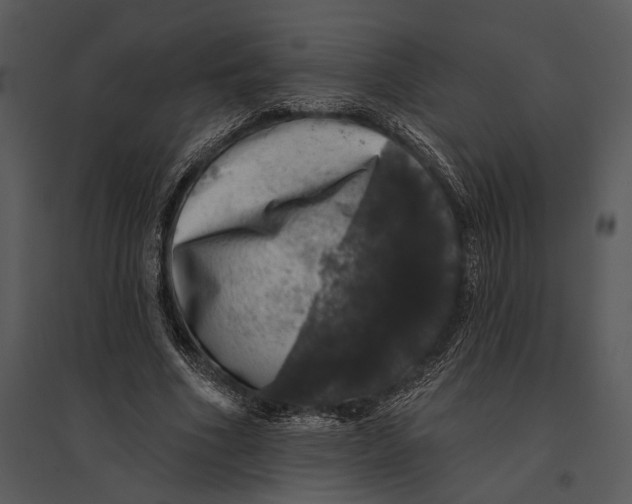 X0000095510586200801041202