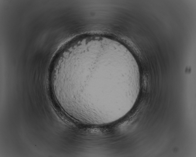 X0000095510588200801041202