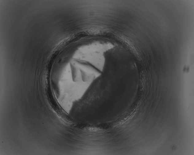 X0000095510590200801041202