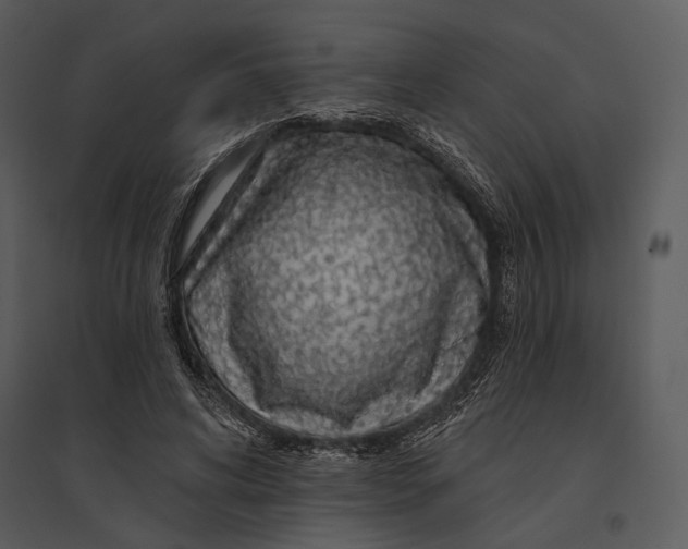 X0000095510592200801041202