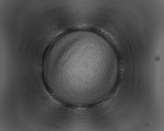 X0000095510593200801041202