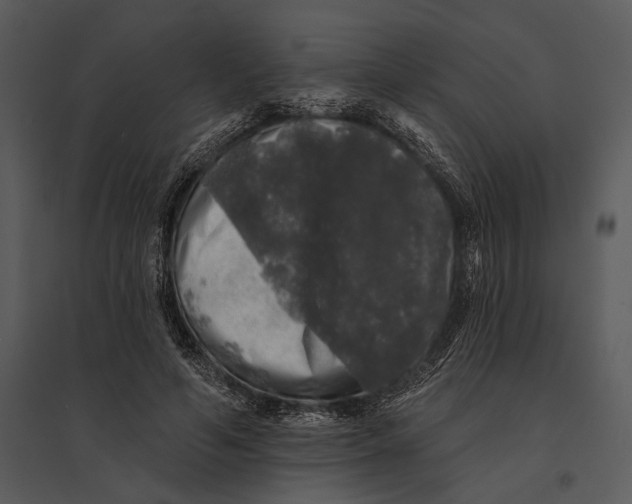 X0000095510594200801041202