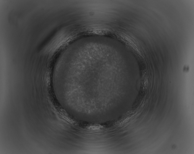 X0000095510595200801041202
