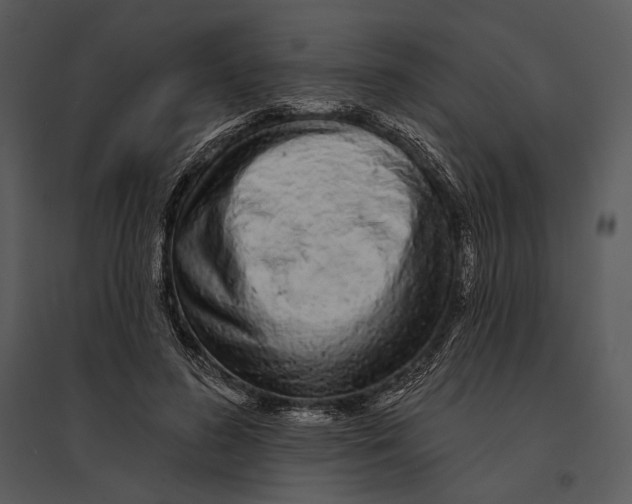 X0000095510596200801041202