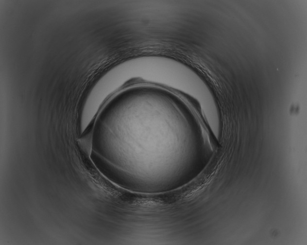 X0000095510597200801041202