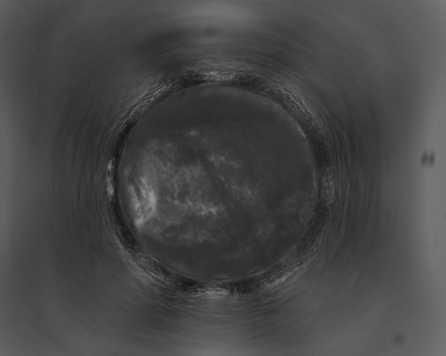 X0000095510598200801041202
