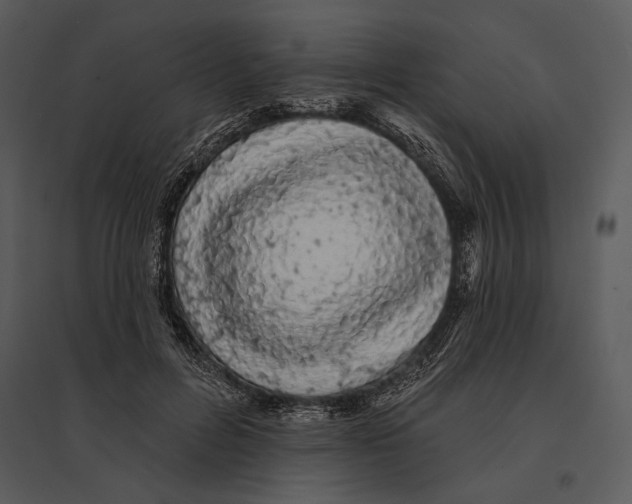 X0000095510600200801041202