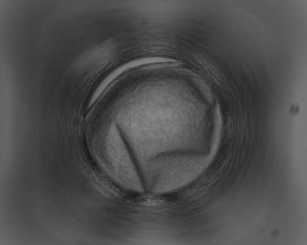 X0000095510601200801041202