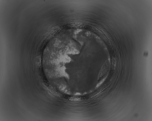 X0000095510602200801041202