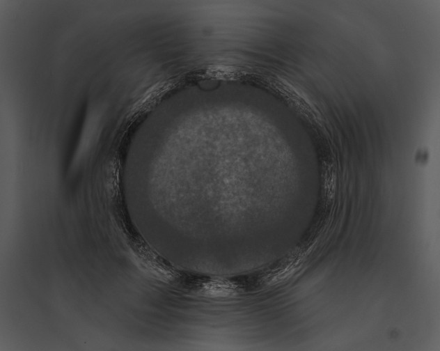 X0000095510603200801041202