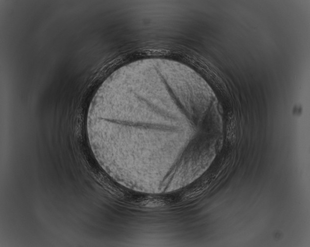 X0000095510604200801041202