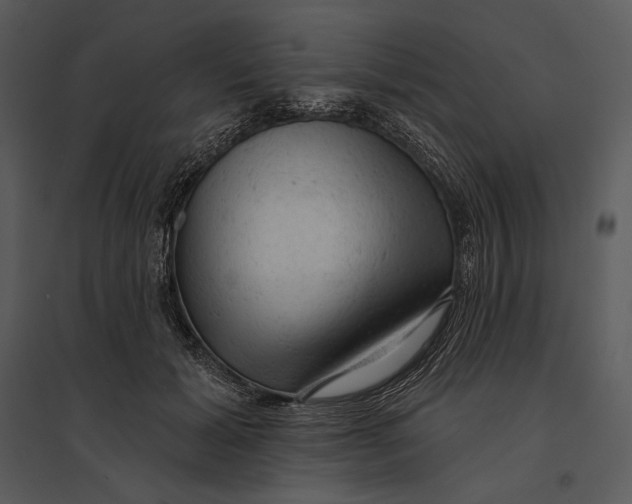 X0000095510605200801041202
