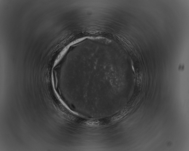 X0000095510606200801041202