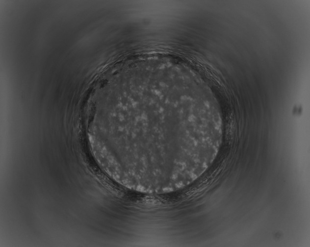 X0000095510608200801041202