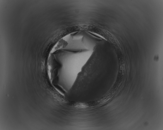 X0000095510610200801041202