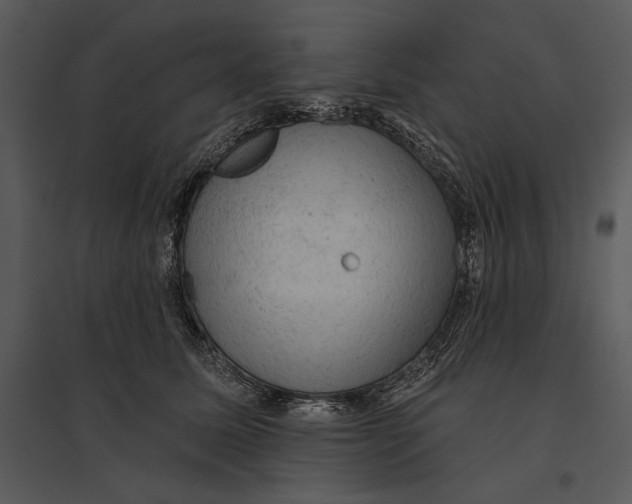 X0000095510611200801041202