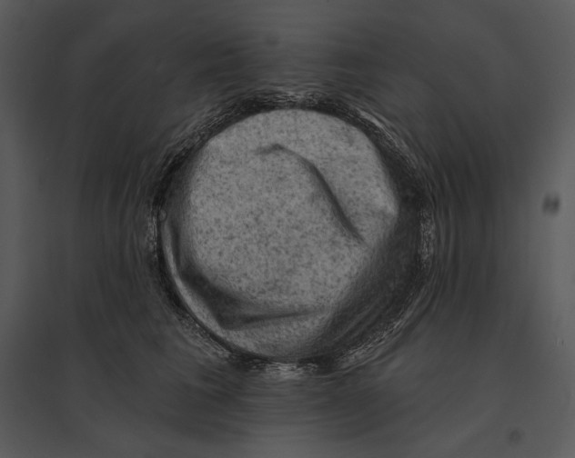 X0000095510613200801041202
