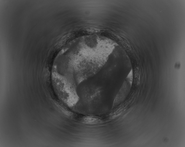 X0000095510614200801041202