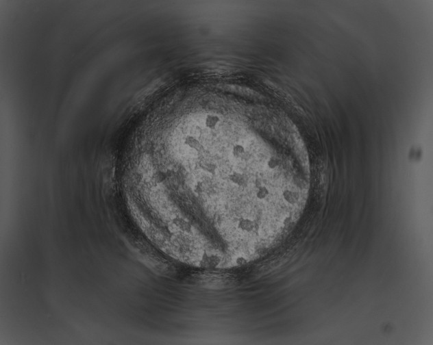 X0000095510615200801041202