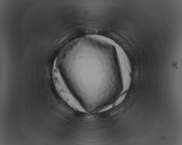 X0000095510616200801041202