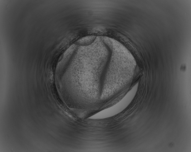 X0000095510617200801041202