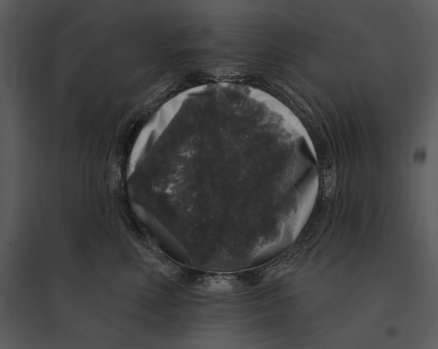 X0000095510618200801041202