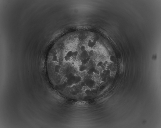 X0000095510619200801041202