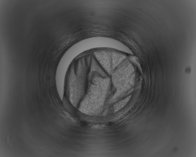 X0000095510621200801041201